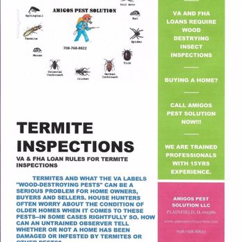 Amigos Pest Solution - Pest Control Near Me Amigos Pest Solution - Pest Control Near Me