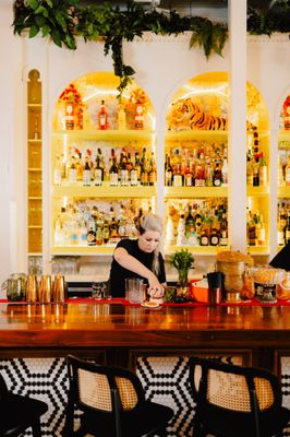 Brother Wolf by null