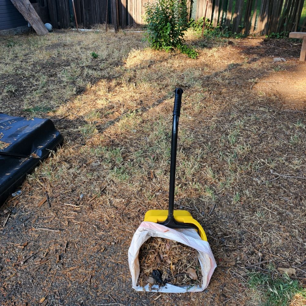 Poop Scooping Service Near Me at Michelle Plant blog