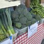 Photo of Iacopi Farms