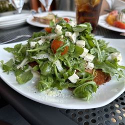 Harvest Wine Bar & Restaurant - Chicken Milanese Dinner