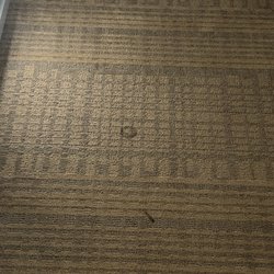 Holiday Inn Birmingham-Airport - Dirty, stained carpets