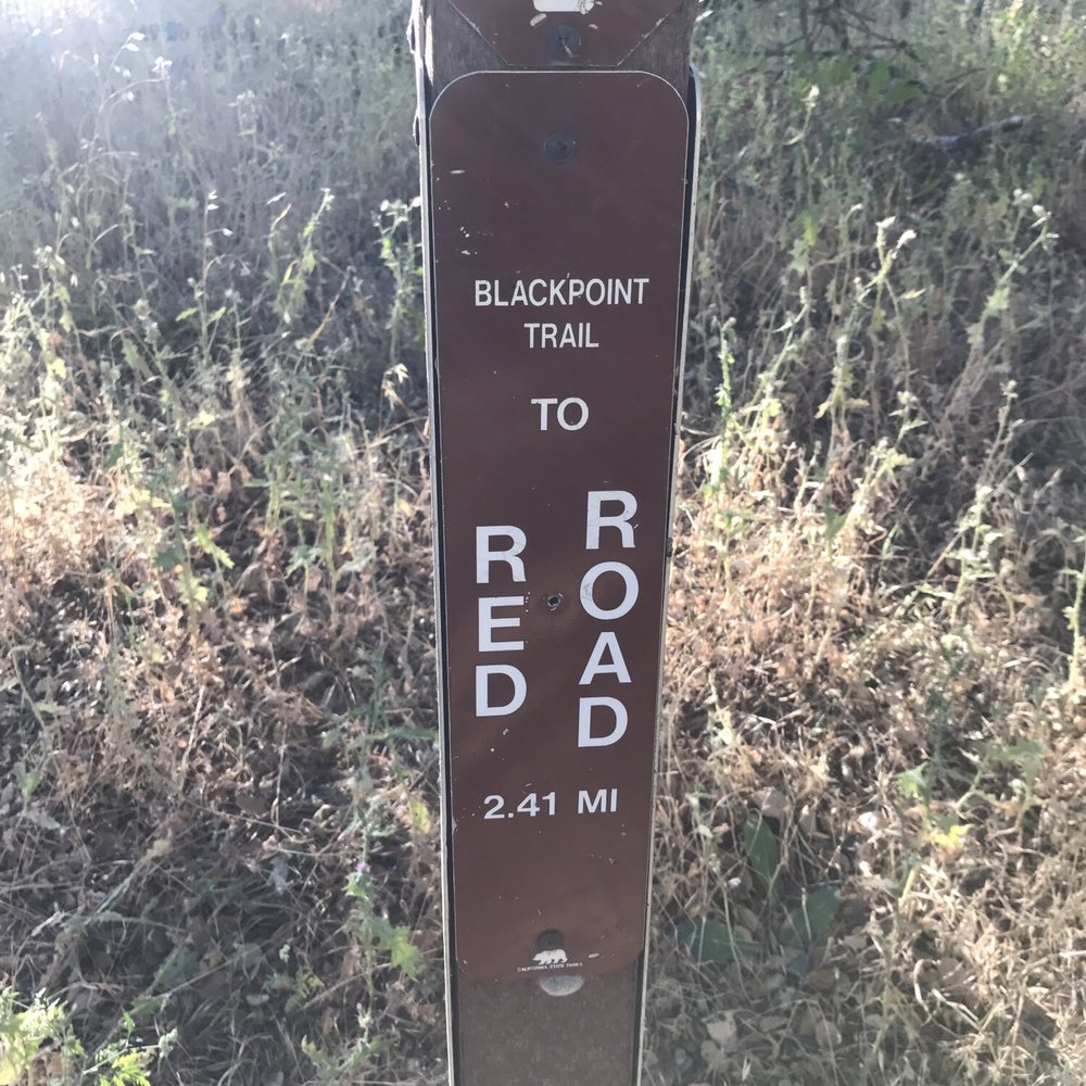 Mount Diablo State Park - At the red road trail crossway - Parks Near Me - Clayton, California