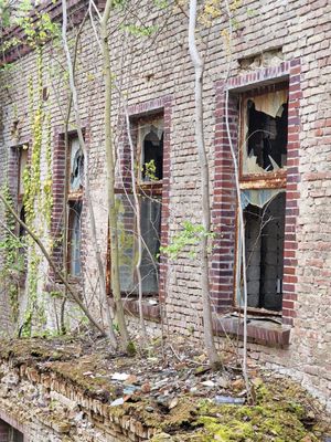 Beelitz-Heilstätten by null