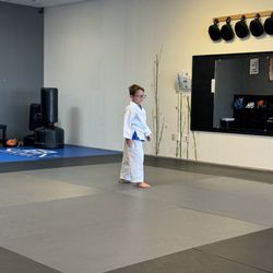 Las Vegas Martial Arts Academy - Practicing