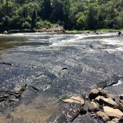 Anderson Point Park - The Neuse