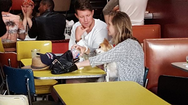 Latin American Club by null