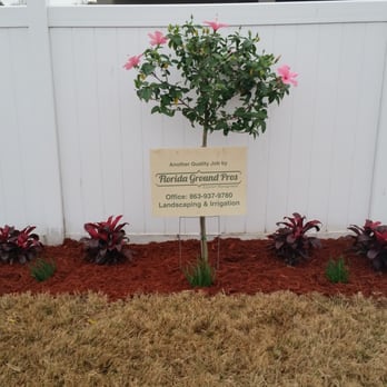 Florida Ground Pros - Bartow landscape job. - Landscaping Near Me - Lithia, Florida Florida Ground Pros - Bartow landscape job. - Landscaping Near Me - Lithia, Florida