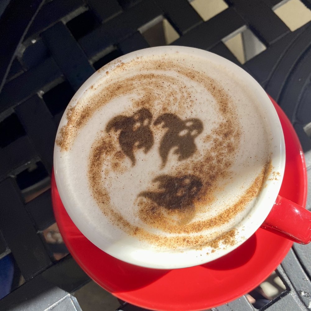 Baldwin Perk - Chai Tea Latte - Cafes Near Me - Orlando, Florida