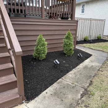 Charlie & FM - Cleaned up bed - Tree Services Near Me