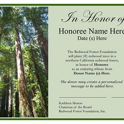 Redwood Forest Foundation - Donate to plant young redwood trees.