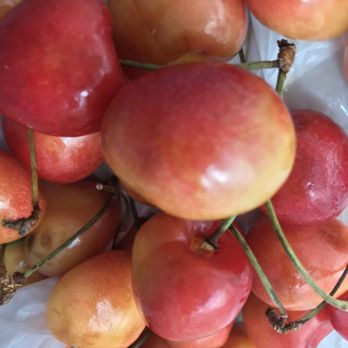 Turners Produce - Cherries - Farmers Market Near Me - Palmetto, Florida Turners Produce - Cherries - Farmers Market Near Me - Palmetto, Florida