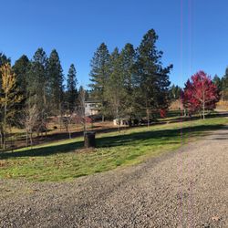 Benedetto Vineyards - Driveway to tasting room