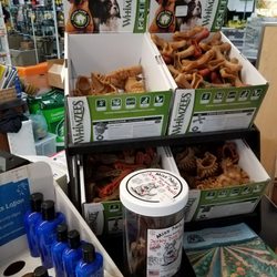 Angel's Bakery