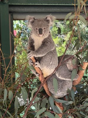 Caversham Wildlife Park by null