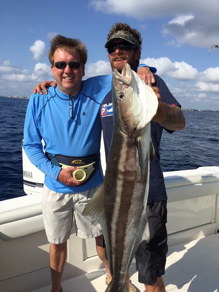 LawnTech - tree service in Brooklyn Heights, OH