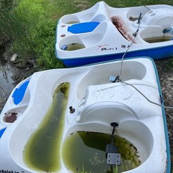 Skyline Ranch Resort - Paddle-boats for pond that is full of algae. A fountain in middle would benefit greatly but that would mean spending money to fix it.
