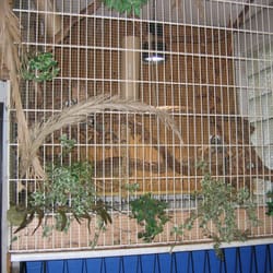 Galeria-Tropica