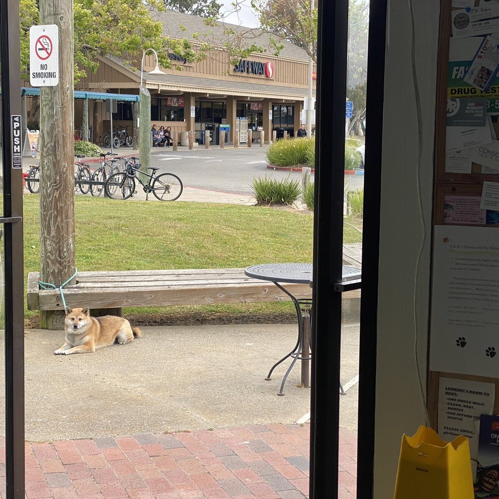 Coffee and Tea Traders - The Beast patiently waiting outside. - Coffee & Tea Near Me - Alameda, California