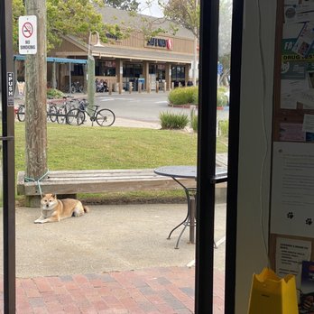 Coffee and Tea Traders - The Beast patiently waiting outside. - Coffee & Tea Near Me - Alameda, California Coffee and Tea Traders - The Beast patiently waiting outside. - Coffee & Tea Near Me - Alameda, California