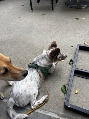 New Vintage Grill Truxtun by null