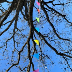 Oak Trees Beer Garden - Brightly colored triangular flags hang from the bare branches of a majestic oak tree under a vivid blue sky.