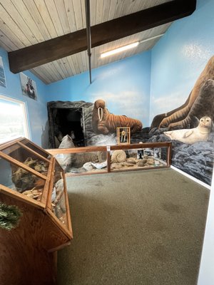 Whale, Sea Life, & Shark Museum by null