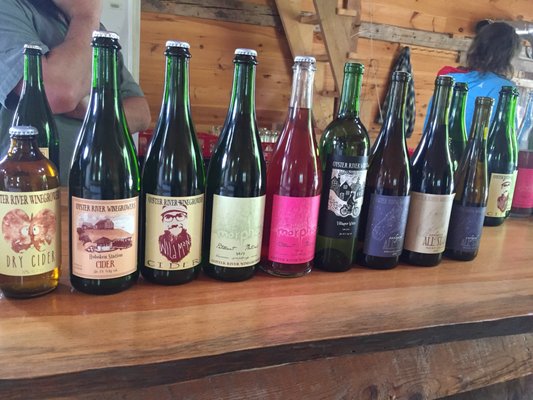 Oyster River Winegrowers by null