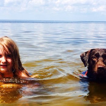 VCA DeLand Animal Hospital - Veterinarians Near Me - Deland, Florida