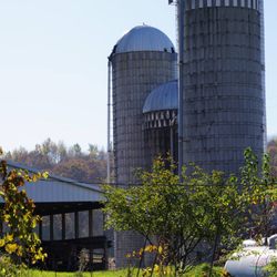 Brambleberry Winery, Weddings & Country Inn