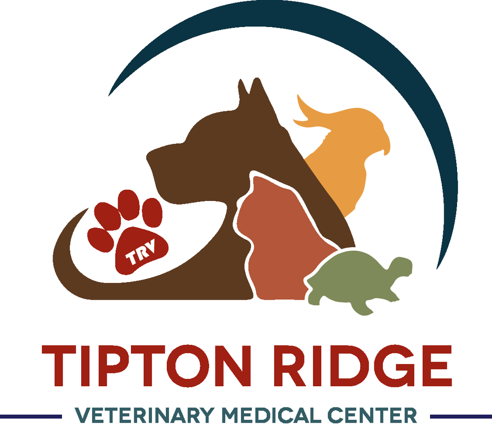 TIPTON RIDGE VETERINARY MEDICAL CENTER Request Consultation 1858