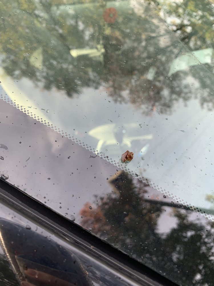 LASER WASH GROUP Updated August 2024 10 Reviews 499 Mansfield Ave, Pittsburgh