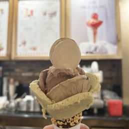 Classic Macaron Icecream