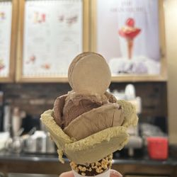 Amorino Gelato - Classic Macaron Icecream