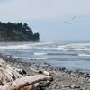 Beachhouse Vacation Rentals gift card