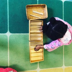 Montessori Children's Academie