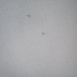 Stanley Steemer - These two spots were found when I went to put the cushions back on the sofa!!! No one has even been here to sit on it yet!