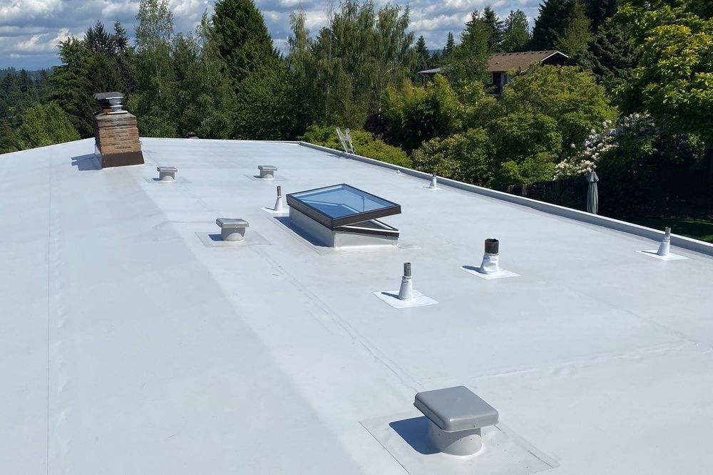 Slide of Max Shield Roofing