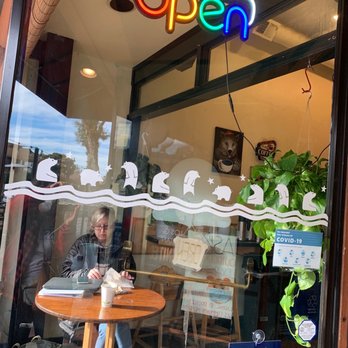 Great Bear Coffee - Neon sign - Coffee & Tea Near Me - Los Gatos, California Great Bear Coffee - Neon sign - Coffee & Tea Near Me - Los Gatos, California