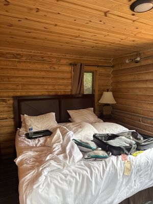 Denali Crow's Nest Log Cabins by null