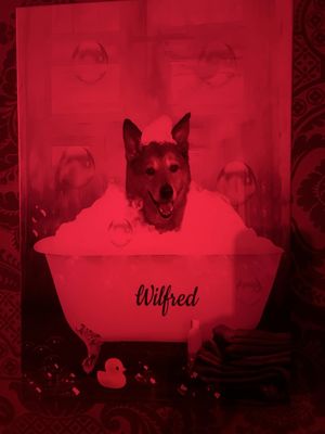The Wilfred by null