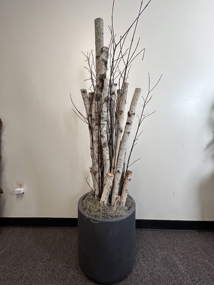 Leaf Cleanup and Removal - tree service in Bloomfield, CT