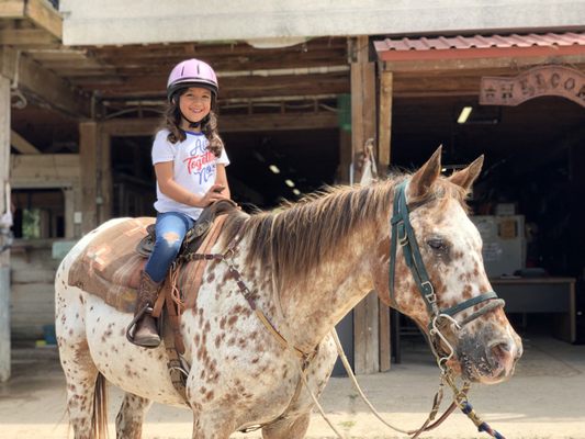 Horse Summer Camp - Summer camp