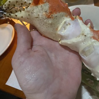Windward Passage Restaurant - Claw as big as my hand! - Seafood Near Me - Columbus, Ohio