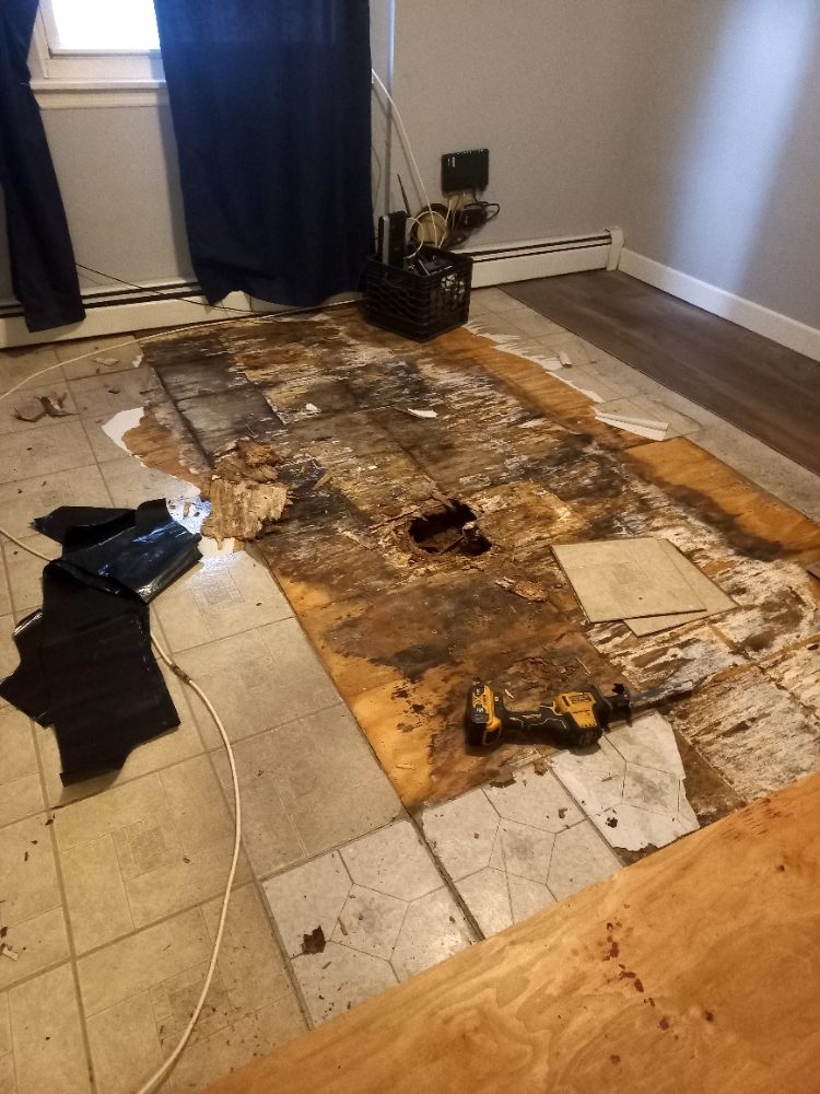 Slide of Hector Plumber