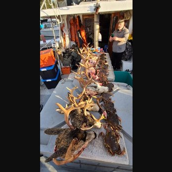 Alaska Gulf Coast Expeditions - Reach out to Alaska Gulf Coast Expeditions for current rates and accessibility. - Fishing Near Me Alaska Gulf Coast Expeditions - Reach out to Alaska Gulf Coast Expeditions for current rates and accessibility. - Fishing Near Me