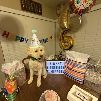 The Dog Bakery - Pet Stores Near Me - Long Beach, California