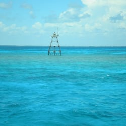 Key Largo Princess Glass Bottom Boat