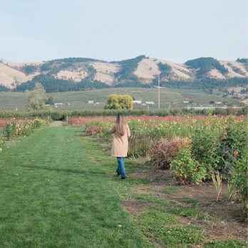 The Gorge White House - Views - Wineries Near Me - Hood River, Oregon