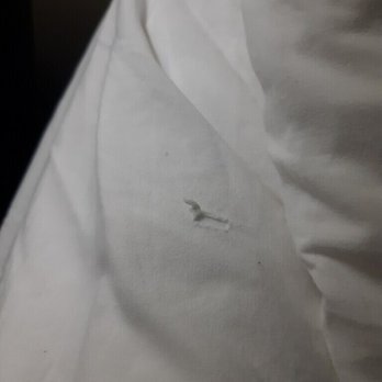 Quality Suites - More torn sheets - Hotels Near Me - Copperas Cove, Texas